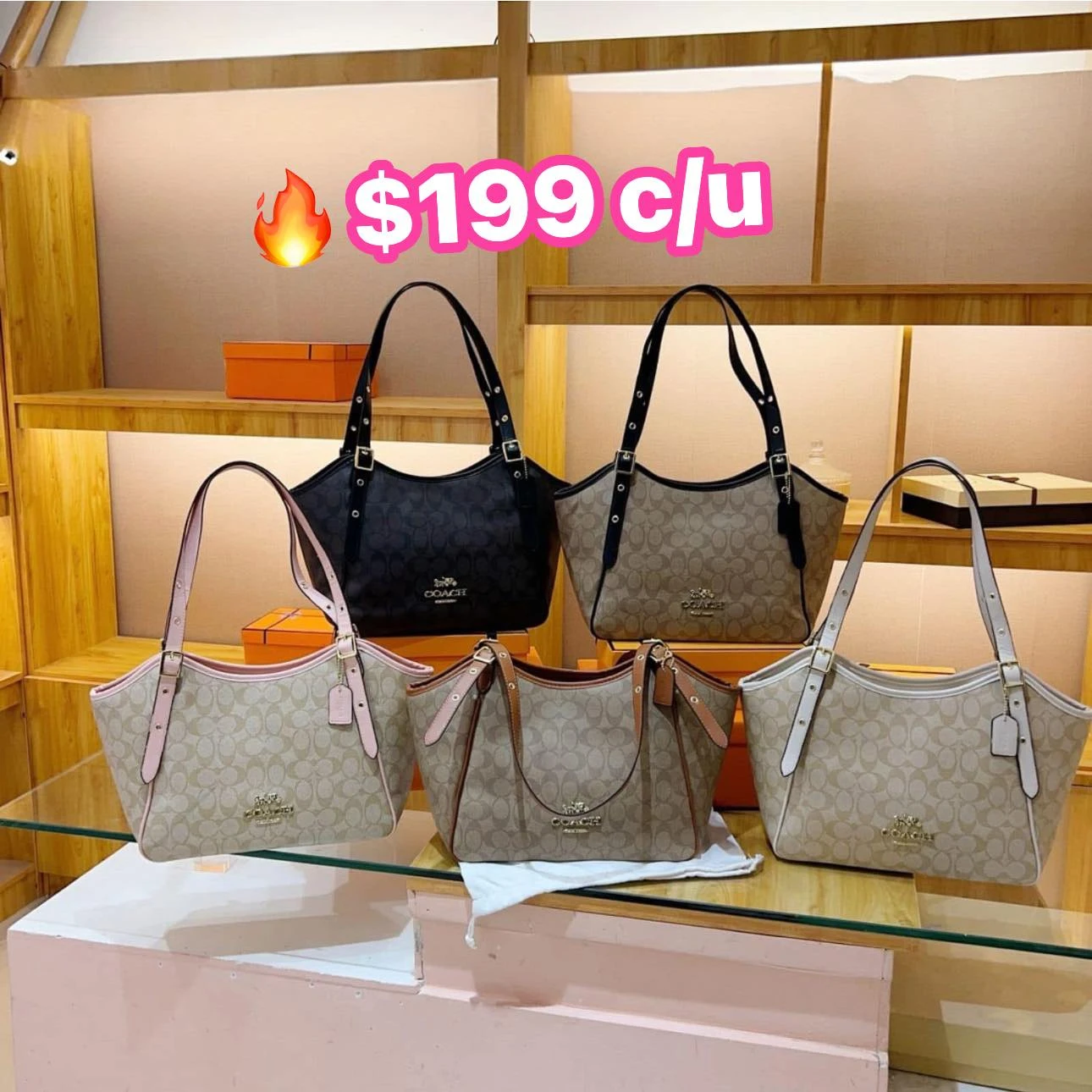 Bolsa 7858100025194